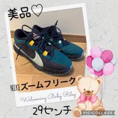 超美品❤️大人気❤️NIKE ズームフリーク 29センチ