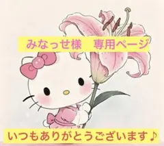 みなっせ様　専用ページ