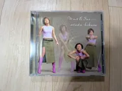 宇多田ヒカル Wait & See リスク CD