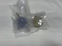 ポケピース　めじるしアクセサリー