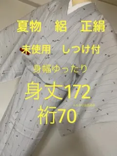 トールサイズ 洗える着物 夏物 薄物 小紋 着丈171.5 裄72 - メルカリ
