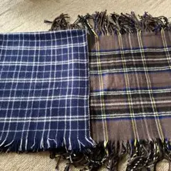 Item thumbnail for item 43e3de8c-8561-4e43-96d2-5fb3587339ab