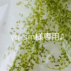 yu-sin様専用ページです♪
