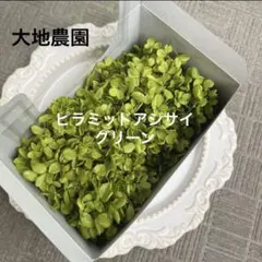 MINT様 リクエスト 2点 まとめ商品