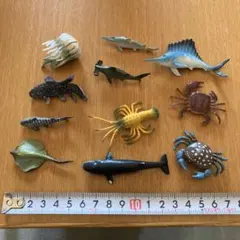 海洋生物フィギュア 11体セット