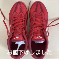 Mizuno ランニングシューズ レッド 24.5cm
