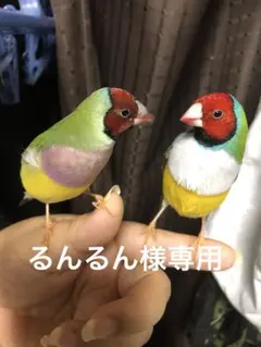 るんるん様専用