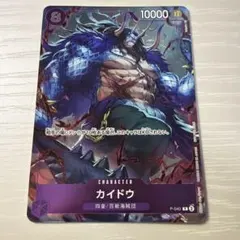 2026年最新】カイドウ P-040の人気アイテム - メルカリ
