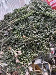 ゆう〜  さん様 リクエスト 2点 まとめ商品