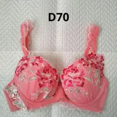 レディース下着 ブラジャー《D70》のサムネイル