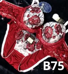 B75 ゴージャスフラワーパール育乳脇高ブラジャー&フルバックショーツ