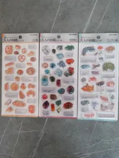 正規品　大人の図鑑シール　3Dビジュアルコレクション3枚セット