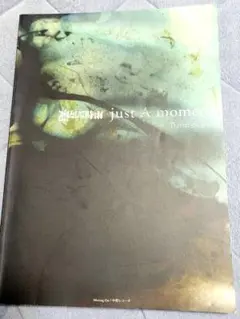 Item thumbnail for item 5e555b9c-753c-46e4-a766-c1607d82e06b