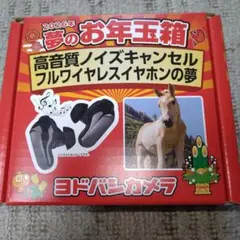 2026年最新】ヨドバシ お年玉箱 イヤホンの人気アイテム - メルカリ