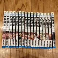 バキ道 全17巻セット