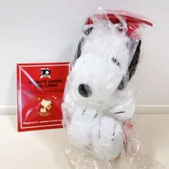 ピーナッツ検定 スヌーピー検定 ぬいぐるみまとめ売り - メルカリ