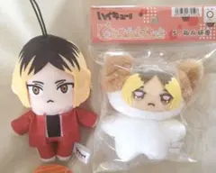 ハイキュー!!　ちみけもますこっと　孤爪研磨