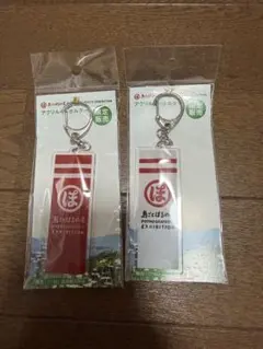 島ごとぽるの展 キーホルダー ポルノグラフィティのサムネイル