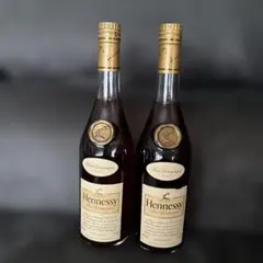 ブランデー Hennessy VSOP 3000ml Hennessy VSOP Lunar New Year 2026 Year of the Horse By Xu Zhen