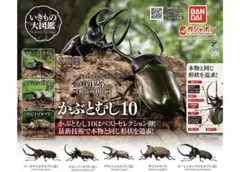 いきもの大図鑑 かぶとむし10 全５種セット　①