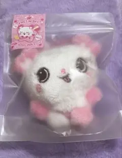 NCT WISH サクヤ パン wish doll ぬいぐるみ - メルカリ
