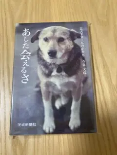 2025年最新】あした会えるさ―忠犬タローものがたりの人気