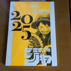 シュリンク付き 少年ジャンプ イラスト集 カラーイラストレーションズ