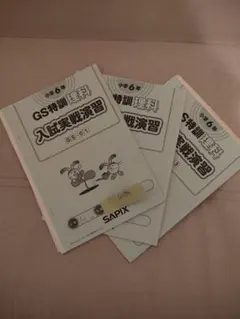 サピックス ss特訓 理科 書き込みなし 知識論理力講座 確認テスト14回