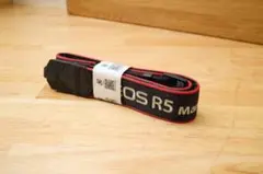 Item thumbnail for item 6e45014a-d26f-4c44-b77b-9a91a64cbac3