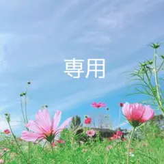 sara様専用