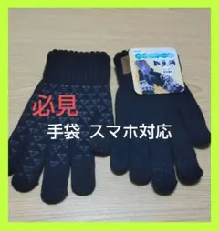 手袋 メンズ スマホ対応 アウトドア