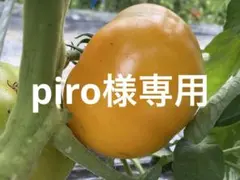 piro様専用です