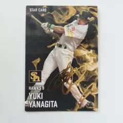 Item thumbnail for item e72d1c6e-d886-4a66-854b-3ae32a5ed630