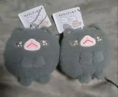 ポメラニアンもち ボールチェーン付きキラキラおめめぬいぐるみ くろみつ