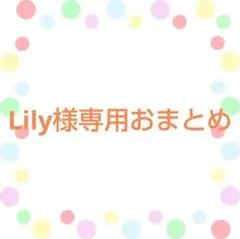 Lily様 リクエスト 2点 まとめ商品