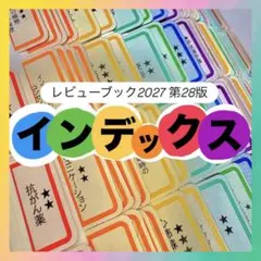 レビューブック2027対応　インデックス　9色カラー　看護学生のサムネイル