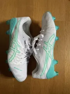 アシックス DS LIGHT ACROS 3 24.5