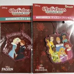 2025 ディズニー クリスマスオーナメント　アナ雪、プリンセス　アクリル