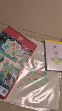 新品未開封　ぽこあポケモン Nintendo Switch28