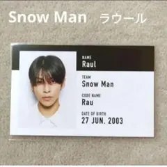 Snow Man 渡辺翔太 デンホリ 名刺カード ID風フォトカード社員証2枚③