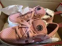 NIKEナイキ コートビジョンアルタ 22.5