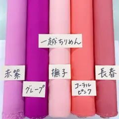 うがもさん様