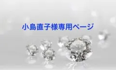 小島直子様専用ページ