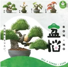 Item thumbnail for item 84d68ab2-0fbb-4877-9f26-e82b09ce1ded