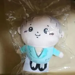 高松アロハ ぬいぐるみ - メルカリ