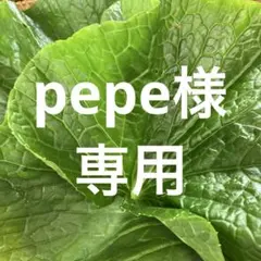 pepe様専用