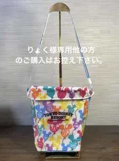りょく様専用　東京ディズニーリゾート　ディズニー　ポップコーンケース