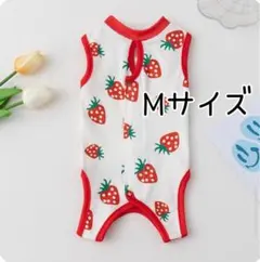 Item thumbnail for item 8586a683-c79b-438a-bc62-cb573dfb8661