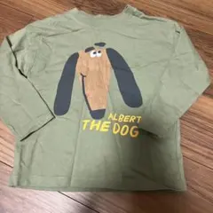 ZARA ダックス　長袖Tシャツ
