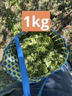 朝倉山椒の実 2kg クール便着払い - メルカリ